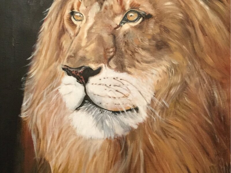 Lion