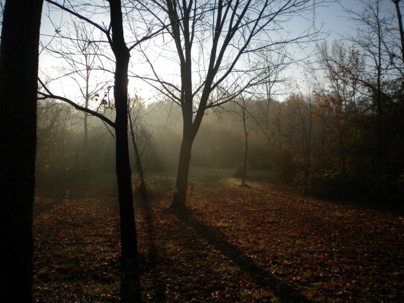 morning mist