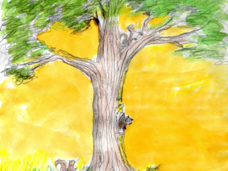 The family tree