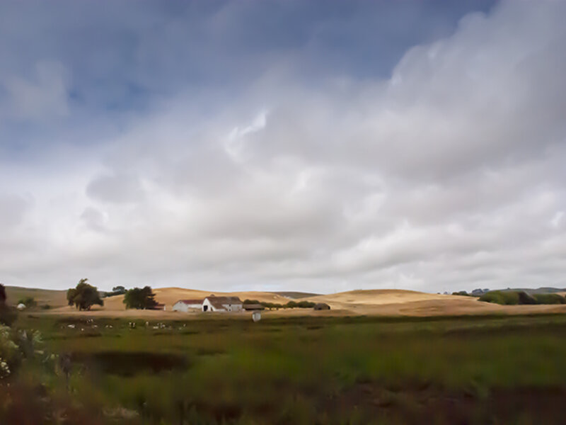 west county farm