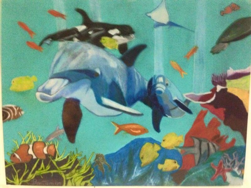 Dolphin's Cove