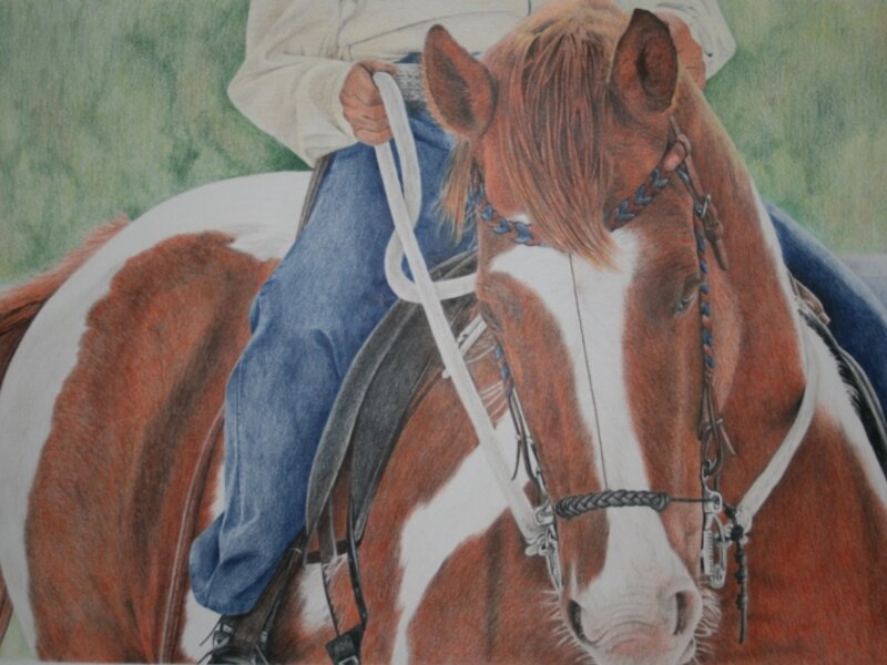 horse