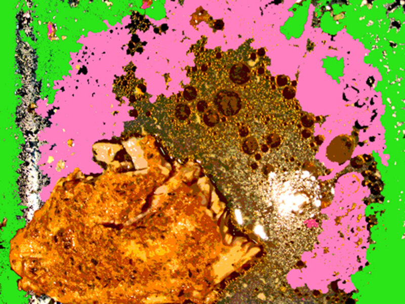 Fish in a Pan in Pink and Green