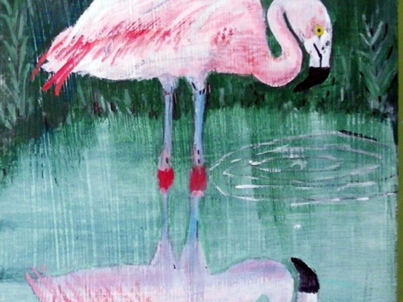 flamingo