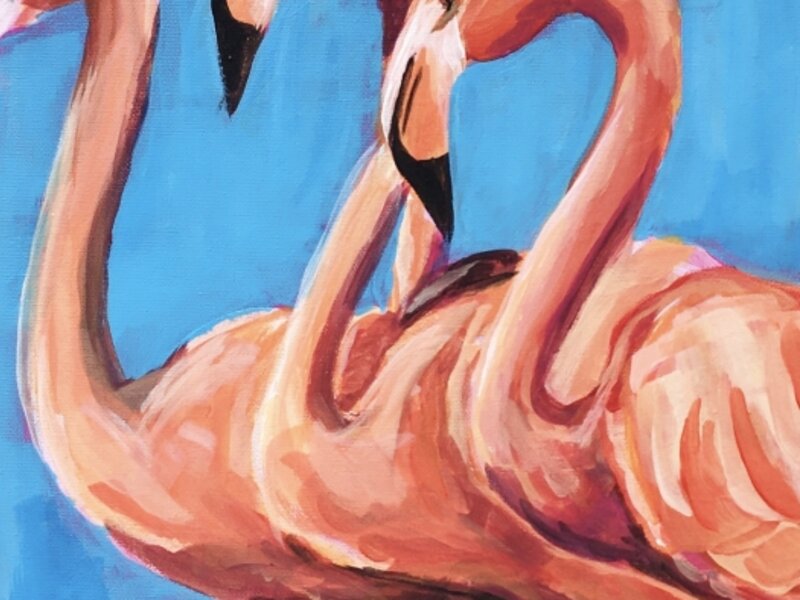 Flamingos