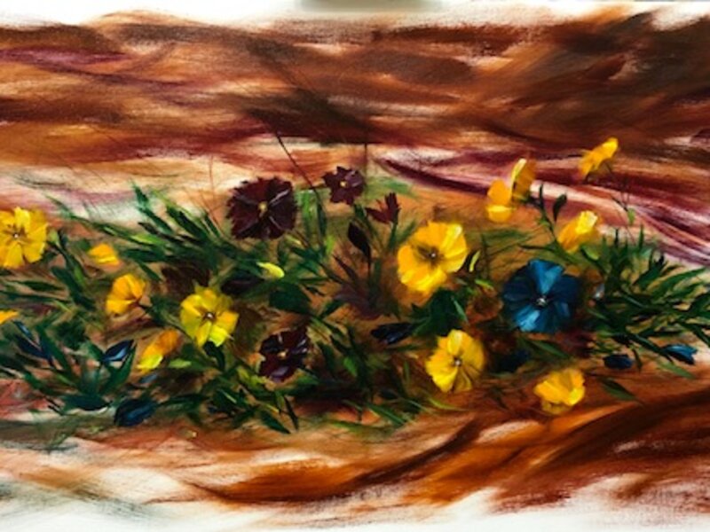 Pansies in the Wind