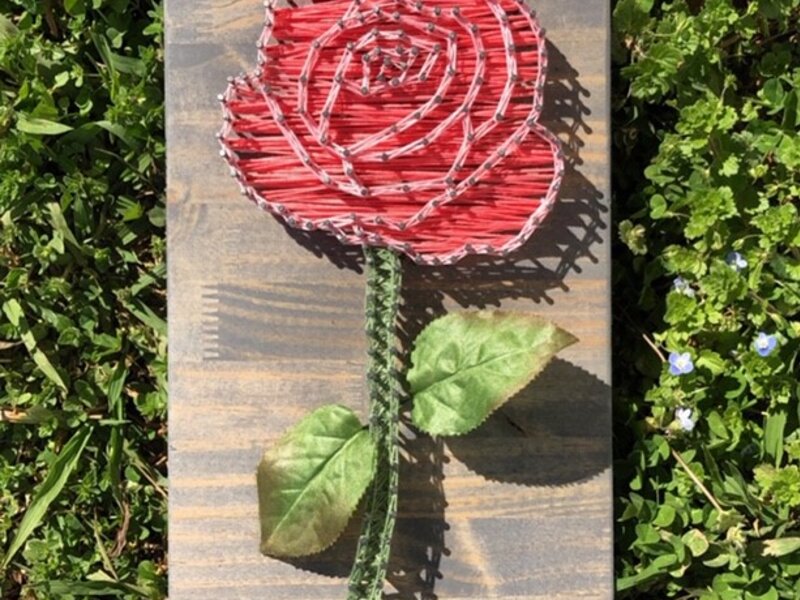 Spring Time Flower