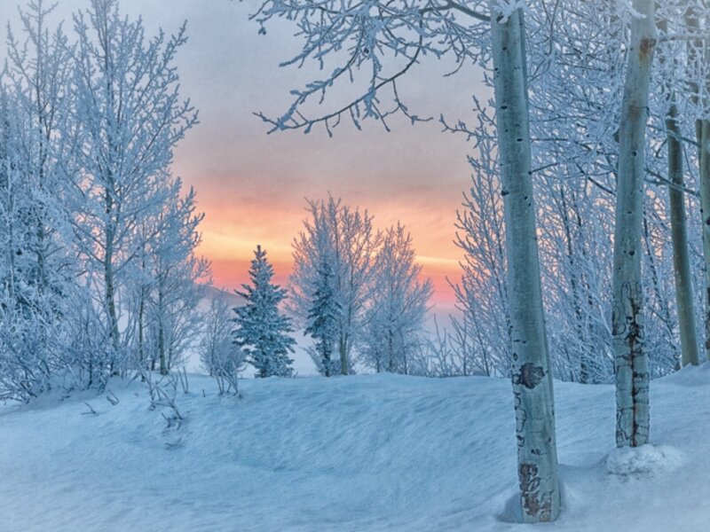 Frosty Sunrise