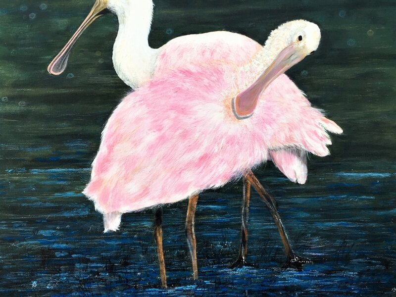 Edisto Spoonbills