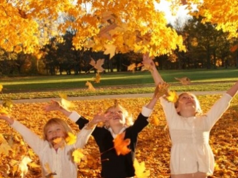 Fall Fun
