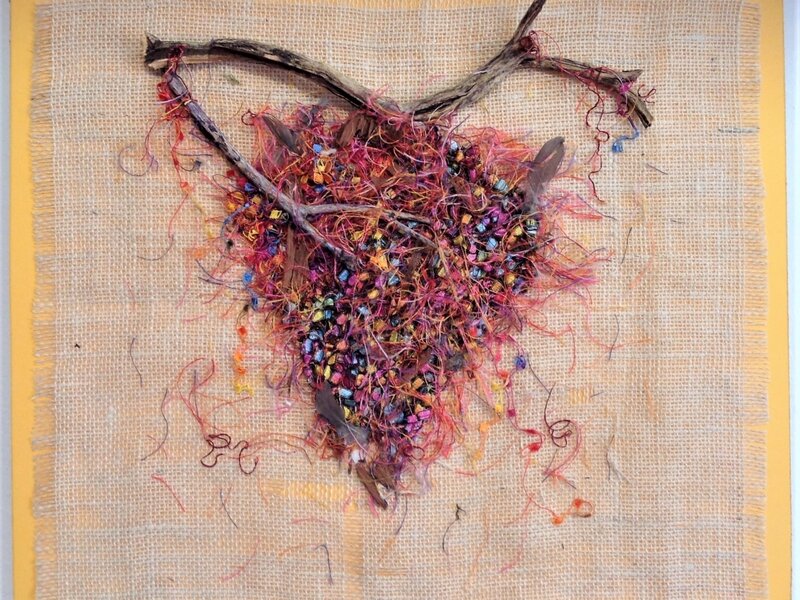 Golden Crested Kinglet Nest