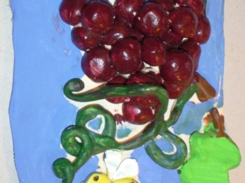 grapevine