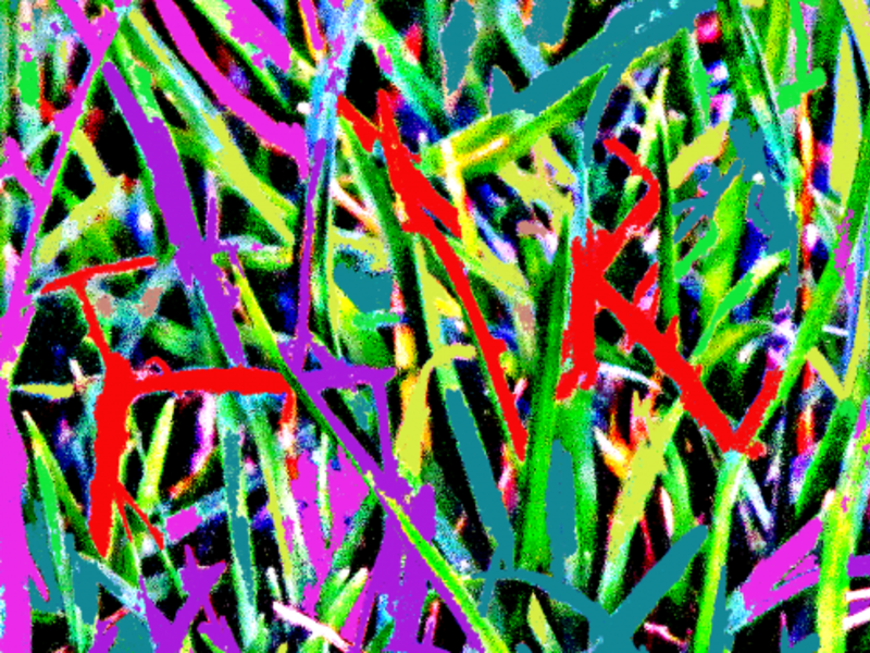 Grass 2