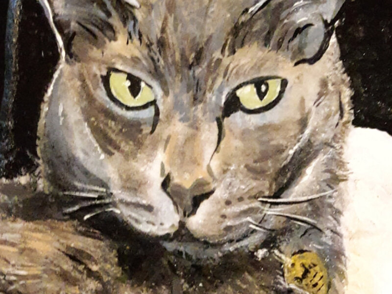 Painting of gray cat on Santorini stone.