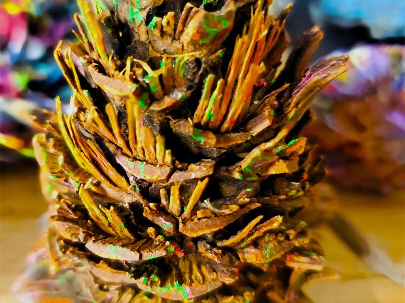 4 in. tall pine cone fragment, painted with prismacolor and inktense pencils