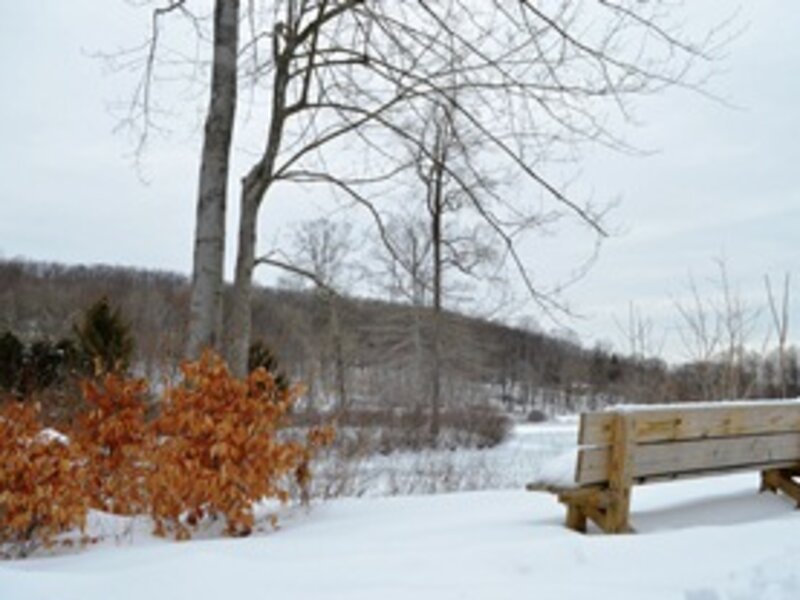 Hedden Park