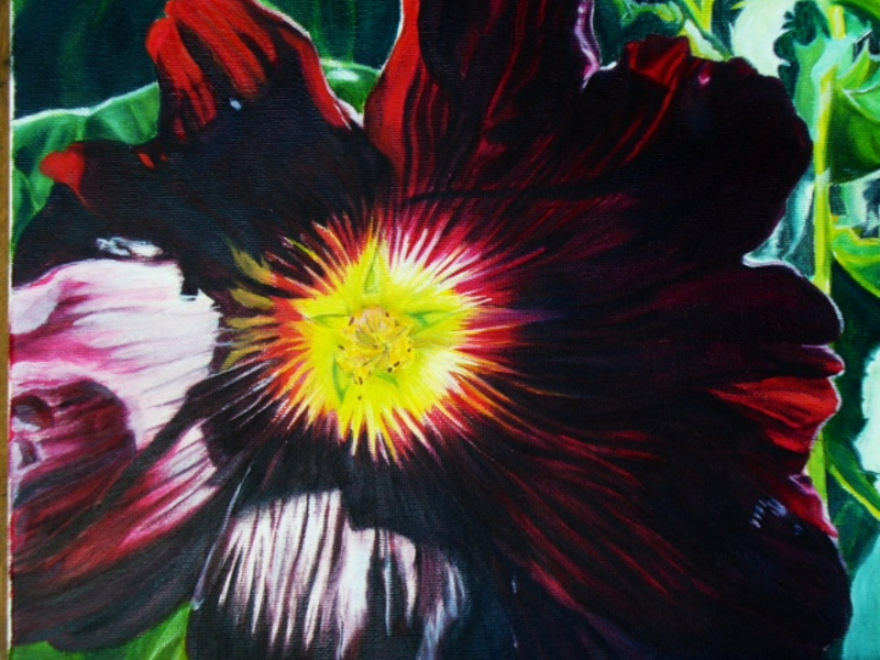 HOLLYHOCK