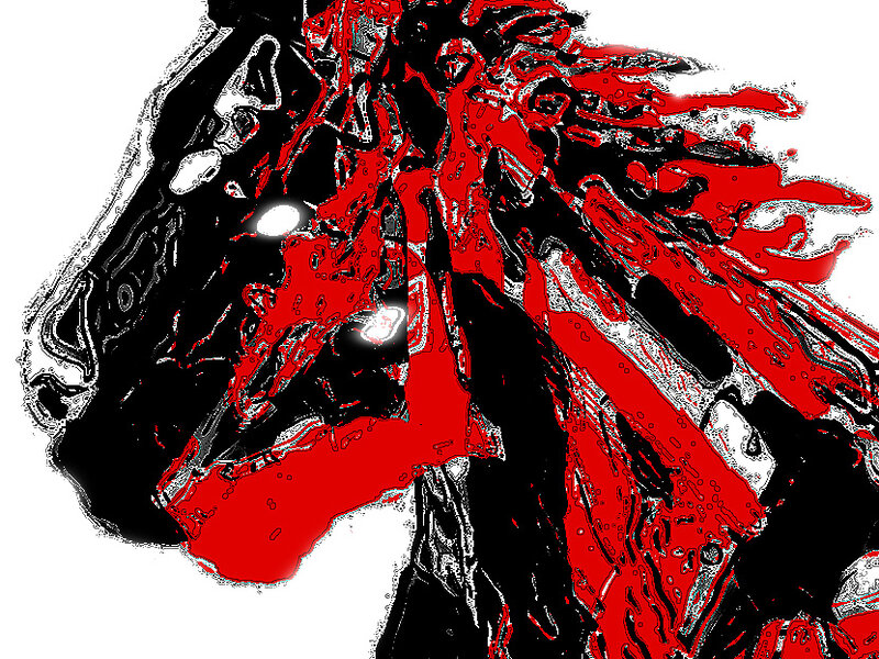 Horse Series Number 2