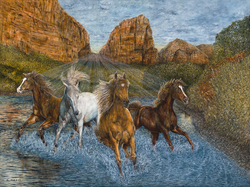 mustangs, horses, wild horses, horse play