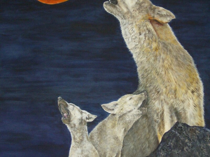 Super Blood Wolf Moon Serenade