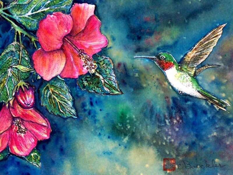Hummingbird