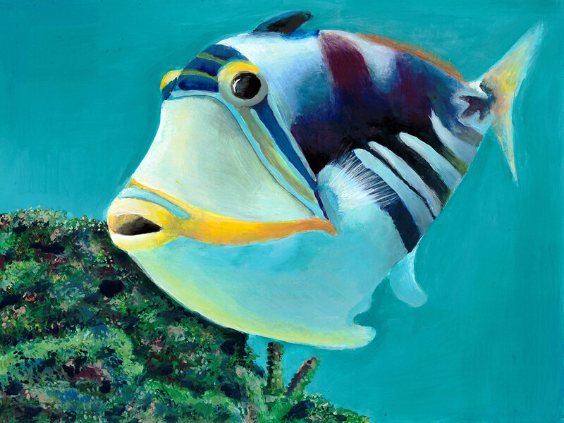 Humuhumu