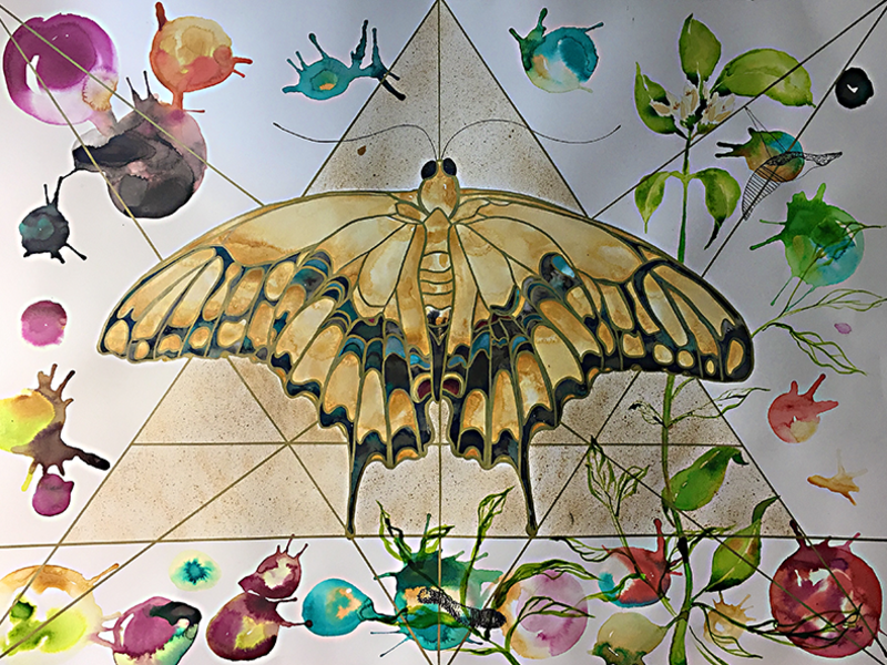 Illuminated Butterfly