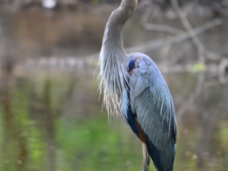 Standing proud
