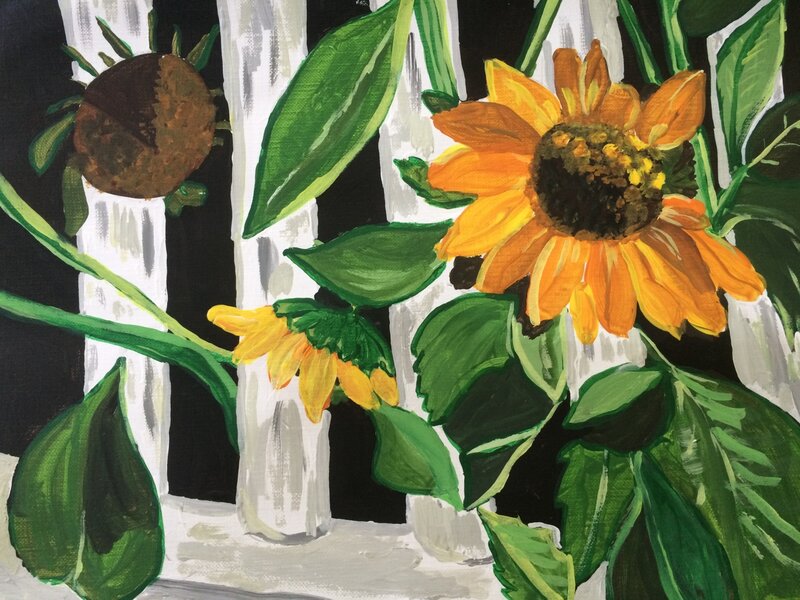 Sunflower
