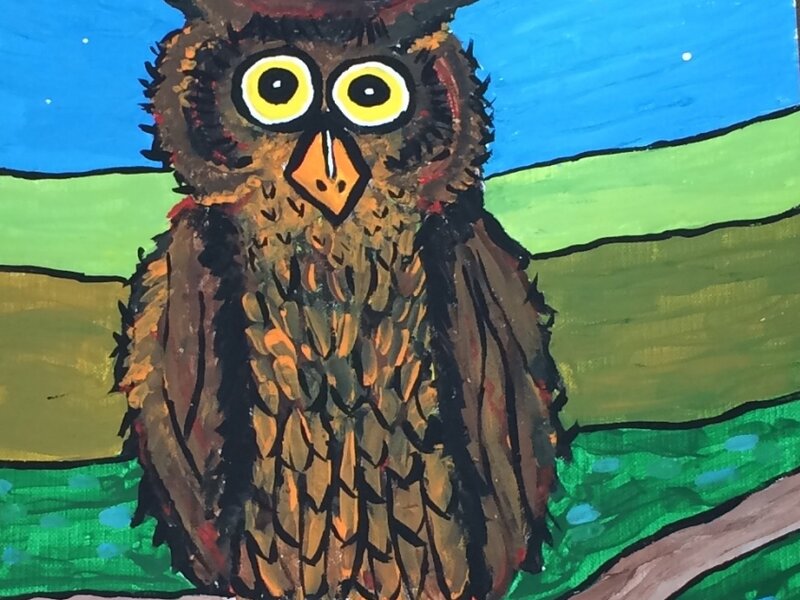 Night Owl