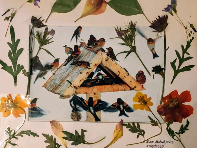 Birdhouse surrounded by pressed flowers and leaves