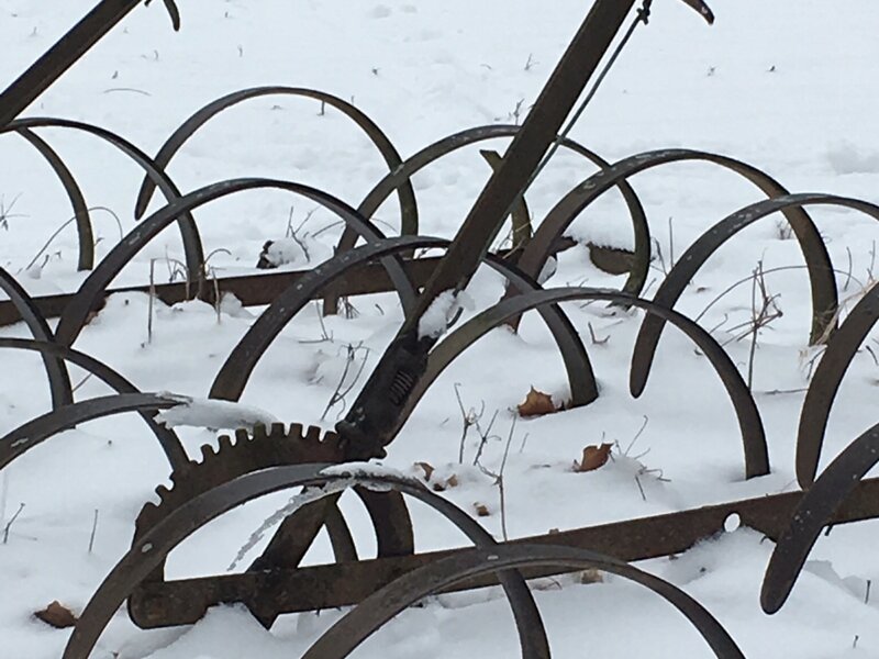 Waiting for spring