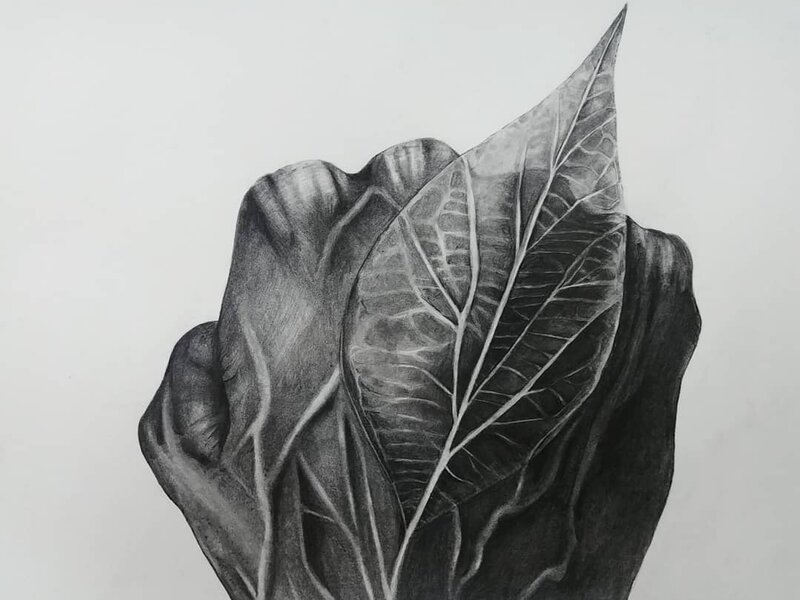 Growing (2019)