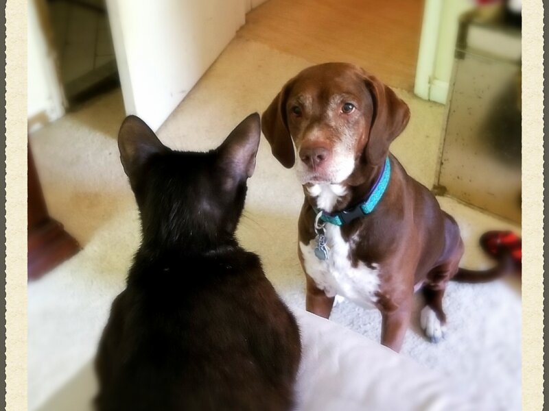 Why Won't You Be My Friend