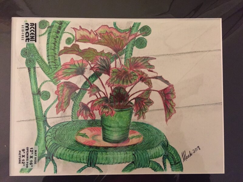 Plant on porch