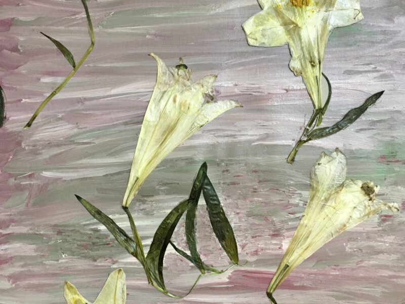 Easter Lilies