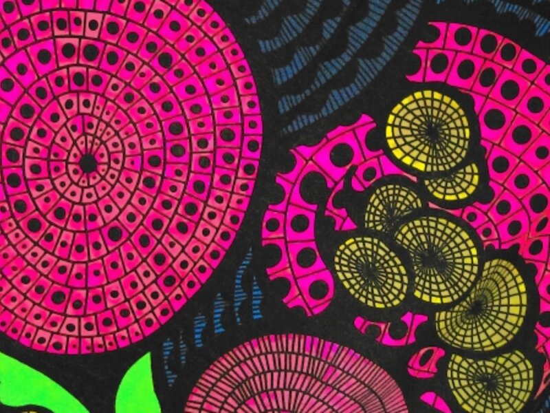 Psychadelics