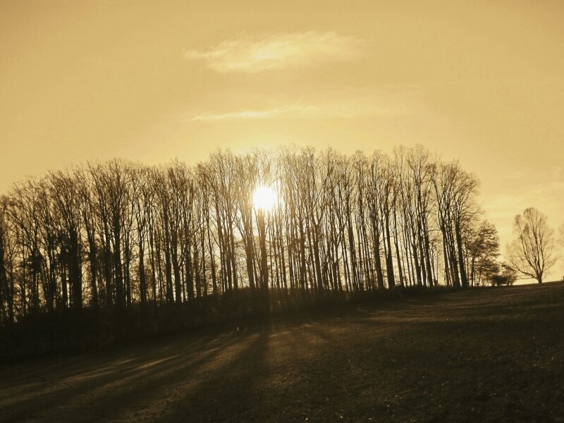 Brandywine Creek State Park