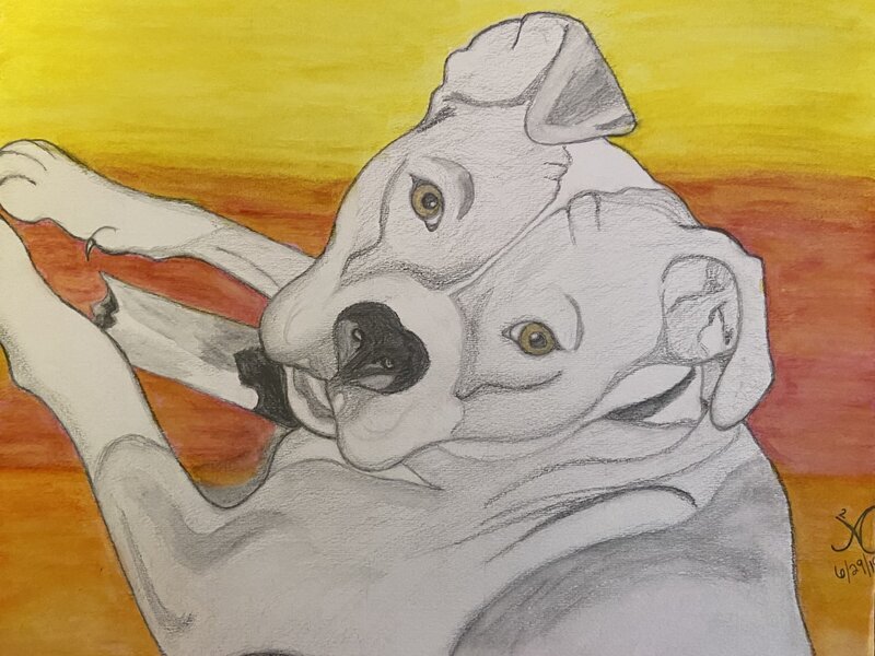 Woman's Best Friend