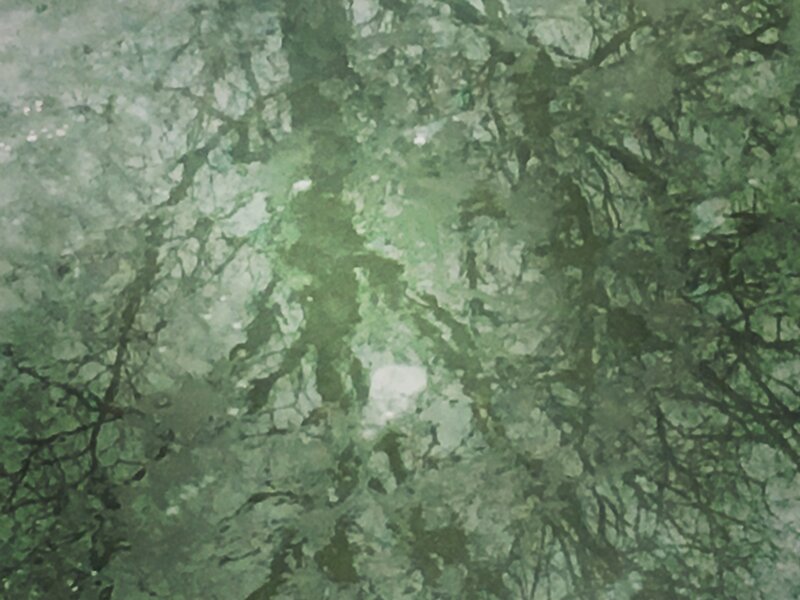River Reflections