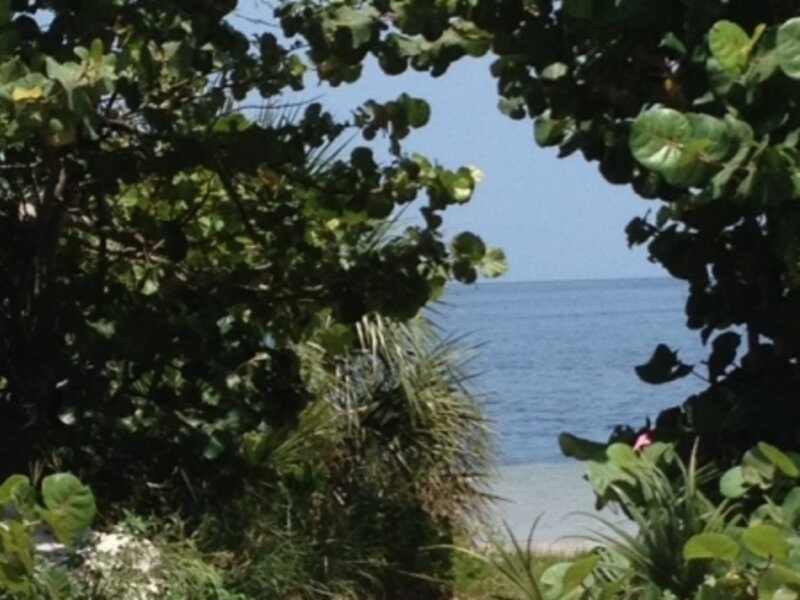 Beachside walkway of leaves