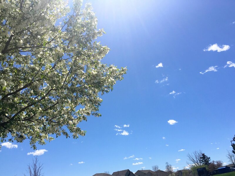 Beauty all around us