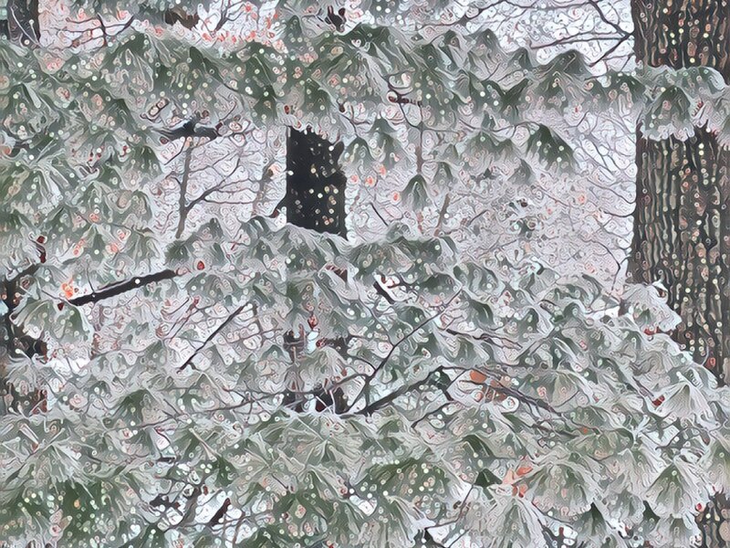 Snowy Trees