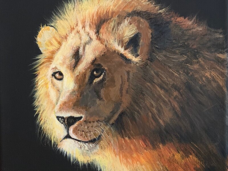 Lion 