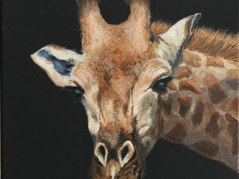 Giraffe