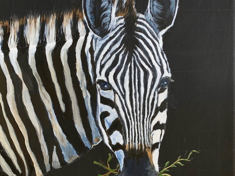 Zebra