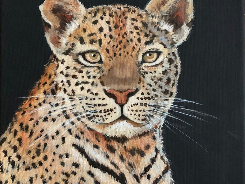 Leopard