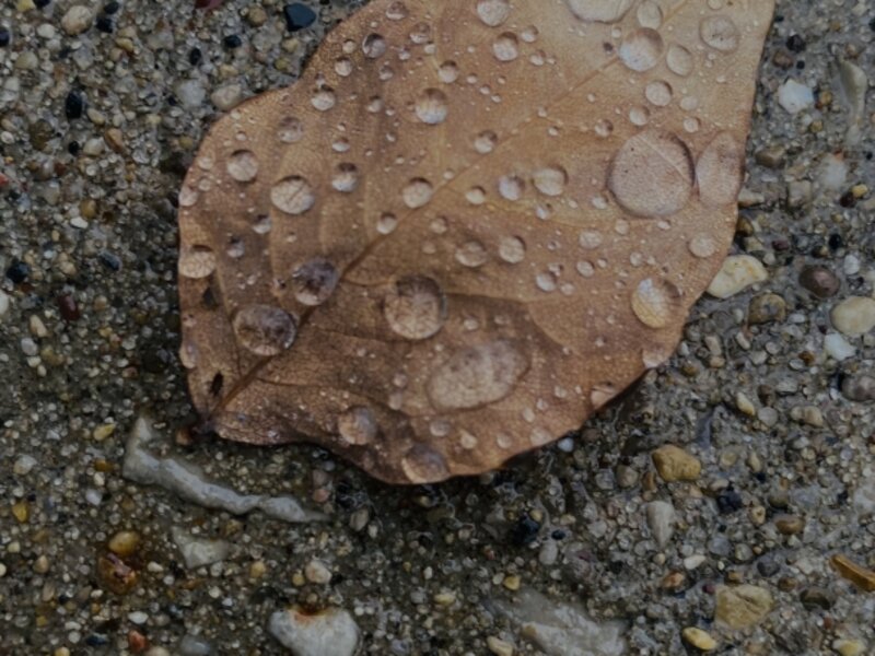 Grounding