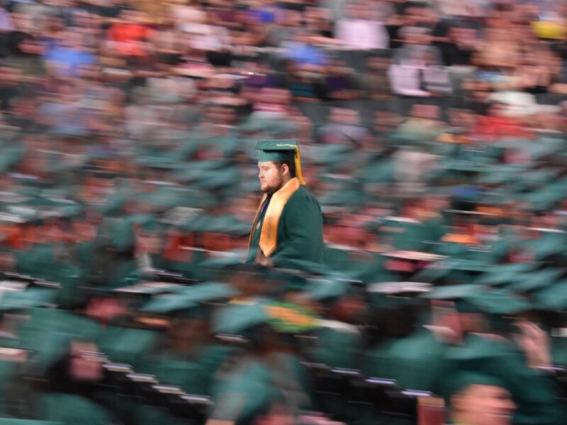 In a Sea of Green
