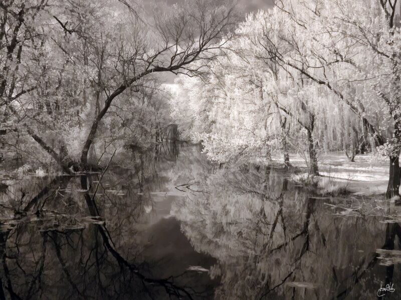 The creek on Paulsboro-Swedesboro Road